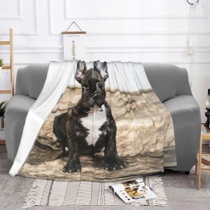 Couverture bulldog française pour canapé-lit Coralle enleceau mignon animal chiot chien léger pondérations couvertures de châle de châle de sieste