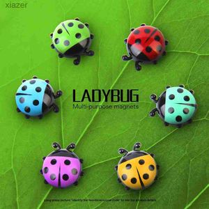 Réfrigage Aimments Ladybug Board de messagerie It Note Creative Photo Stickers Home Decoration Réfrigérateur Aimant Décoration Cuisine Cadeaux WX