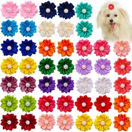 Fruit 100x schattige huisdier kattenhaar buigt bloemen voor honden bruiloft feestdag dagelijkse accessoires pet verzorgingsbogen met rubberen bands