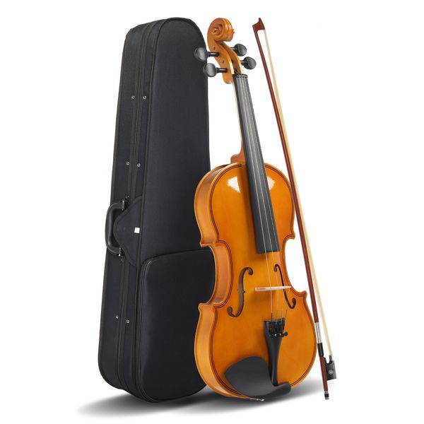 Tamaño completo 4/4 Violín establecido para adultos Estudiantes para principiantes con estuche duro, arco de violín, reposabrazos, colofonia, cuerdas adicionales y sordina