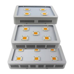 LED à spectre complet élèvent la lumière 1200W 1500W 1800W COB plante croissance lumière lampe pour serre hydroponique intérieure Veg fleur tente