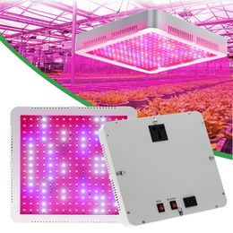 Volledig spectrum LED Grow Light 2000W met groenten en bloei Dubbele schakelaar Plantlamp voor Indoor Hydroponic Seedling Tent Greenhouse Flower