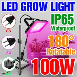 Volledige Spectrum LED Grow Light 50W 100W Voor Hydrocultuur Kamerplanten Groeiende Lamp Voor Kas Zaaien IP65 waterdicht