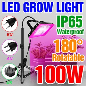 LED à spectre complet élèvent la lumière 50W 100W pour les plantes d'intérieur hydroponiques lampe de culture pour les semis de serre IP65 étanche