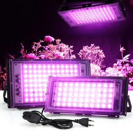 Volledig spectrum LED-groeilicht PhytoLamp voor planten Tent Bloemzaaien 50W 100W 200W AC 110V 220V Bereiklamp Buitenschijnwerper Groeien Phyto Box