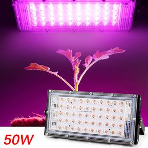 LED à spectre complet élèvent la lumière PhytoLamp pour les plantes tente fleur semis 50W AC 220V gamme lampe projecteur extérieur poussent Phyto boîte