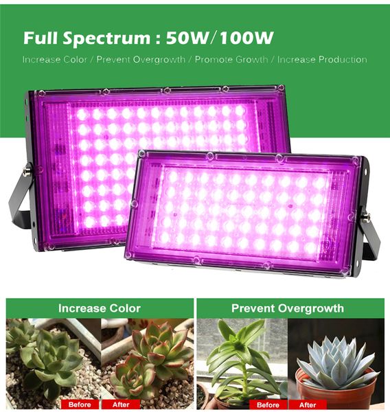 LED à spectre complet élèvent la lumière 50 100W support Phyto lampe interrupteur marche/arrêt AC110 220V serre hydroponique plante fleurs plantes croissance éclairage lampes