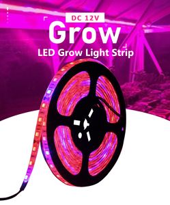 Luces Led de espectro completo para cultivo, fitoamplificador para plántulas, rojo, azul, 5M/rollo, DC 12V, Phytotape para plantas, resistente al agua, Chip 5050, 5-20 metros