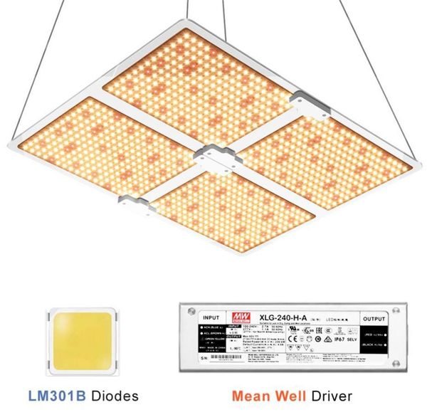 Lampe de croissance LED Samsung à spectre complet, 2000/4000W, avec puces LM301B QB234Pcs 3000K et pilote UL Meanwell, plantation intérieure 2304889