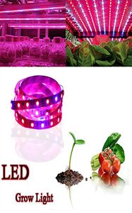 Spectre complet SMD5050 LED GRUM GROW STRIP DE LED NON AVEUR LED CLUMEUR DE CLUMENT POUR LA LAMPE DE CLUSSION PLANT HYDROPON