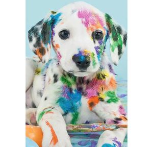 Volledige vierkante diamant 5D DIY Diamond schilderij gekleurd puppy borduurwerk kruissteek Rhinestone mozaïek Home Decor1201820