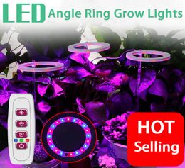 Fullspectrum LED GROOP Lichten USB5V Lead Round Round Ring Succulente vullamp Dimpelbare indoor verlichting antisplendid kleurplaten GRE7430744
