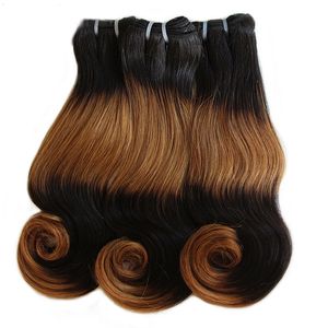 Funmi Double Drawn Body Wave Remy Trame de Cheveux Humains Ombre 4 Tons # 1B # 30 Brun Couleur Fumi Cheveux 3 Bundles Cheveux Weave Bundle