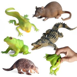 Lot de 5 jouets amusants en caoutchouc souple TPR super extensibles pour enfants, ensemble de figurines avec grenouille, têtard, crocodile, rat, pangolin, décompression, jeu de soulagement du stress