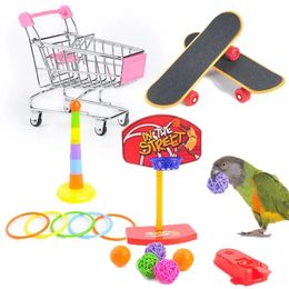 Fournitures de jouets d'entraînement d'oiseaux amusants, support de basket-ball, panier de courses, chaussures canari, accessoires de perroquet, 231225