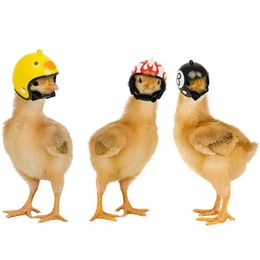 Casque de poulet drôle petit oiseau canard caille casse-casseur casseur empêche le poulet de smash protect for Hens Head Pet Supplies
