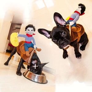 Funny Cowboy Rider Pet Small Medium Dogs Chats – Parfait pour Halloween et les fêtes costumées