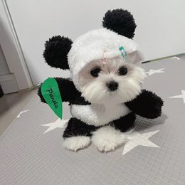 Grappige Halloween-outfits Kat Puppy Cosplay Panda Festival Feestkostuum Winter Warme Jas Fleece Kleding Schattige Dierenkleding 240226