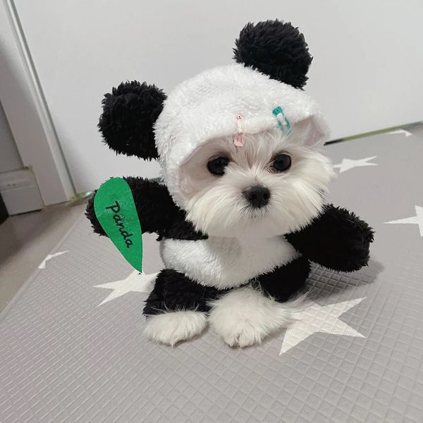 Drôle Halloween Tenues Chat Chiot Cosplay Panda Festival Costume De Fête Hiver Manteau Chaud Veste Polaire Vêtements Mignons Vêtements Pour Animaux De Compagnie 240226