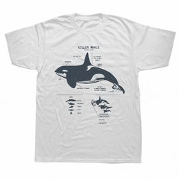 Divertida ballena asesina anatomía biología marina vida silvestre playa camisetas gráficas streetwear manga corta regalos de cumpleaños camiseta de verano w6o5 #