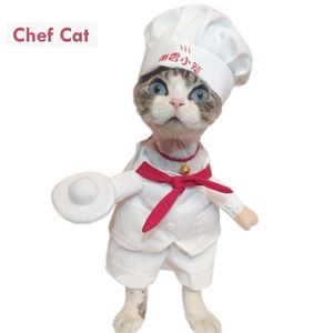 Funny Pet Costumes Star Chef Cosplay Costume Chef Cat Vêtements Halloween Noël Outfit Vêtements Pour Chiot Chien Costume pour un chat 201111