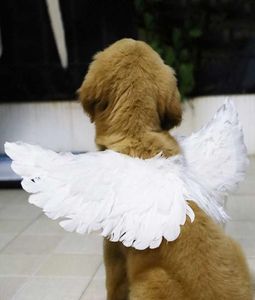 Pet drôle Halloween Feather Wings Pet Halloween Costume Cosplay Angel Devil Wing For Dog Cat Black White Pet Clothes H09103324672