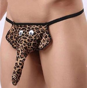 g string elephant thong g string homme sexy pénis pochech drôle les hommes gays sous-vêtements tanga hombre8649398