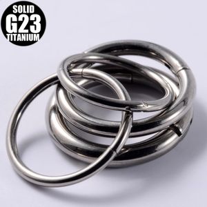 G23 anneau de Segment articulé couleur argent Septum Clicker nez lèvre mamelon oreille Cartilage Tragus Piercing bijoux 240127