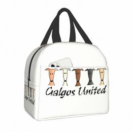 Galgos United Greyhound Sacs à lunch isolés pour femmes Whippet Sighthound Dog Portable Thermal Cooler Food Lunch Box School d66E #