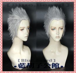 Game Devil May Cry 5 Vergil Short Silver Gray Cosplay WIG018357864
