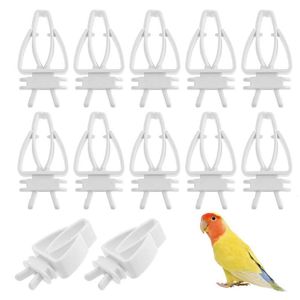 Tuin Decoraties 12 stuks Papegaai Vogels Voedsel Clip Vogelkooi Feeder Groente Fruit Clips Voor Kanaries Kaketoes Vinken Accessoires 230706