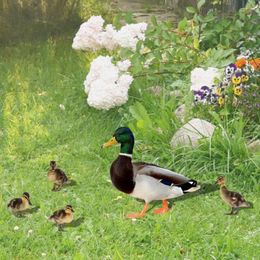 Décorations de jardin 5pcs / set créatif en plein air pelouse volaille insérer des signes d'art figure animale piquets de canard décor de canard mignon
