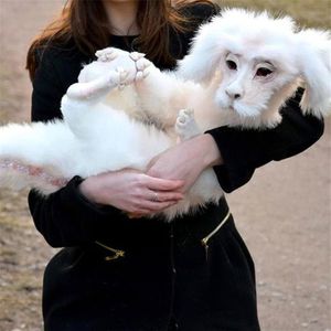 Décorations de jardin Cadeau drôle Poupée en peluche Ver du labyrinthe Falkor L'histoire sans fin Fuchur Bébé fait à la main Ludo Labyrinthes 1878