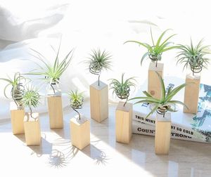 Décorations de jardin support de plante à Air en fer, conteneur Tillandsia, présentoir de Pot de table, Vase avec Base en bois XB1