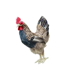 Tuindecoratie Levensecht kippenmodel Realistisch kippenstandbeeld Dierenbeeld Bruin M