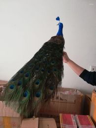 Tuindecoraties Real Life Peacock Model Foamfeather Mooie vogelgeschenk ongeveer 80 cm D0037