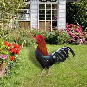 Garden Decoraties Rooster Dierlijke Stakes Teken weerbestendige vloerdecoratie Kip beeldhouwkunst voor padpatio achtertuin Outdoor