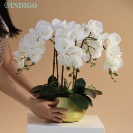 Décorations de jardin White Moth Orchid DIY Flower Arrangement 5PCS Orchid4PCS Moss3PCS LeavesPot Papillon Décoration Centre de table INDIGO 230601