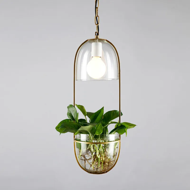 Jardin Fleurs Plantes En Pot Suspension Fer Verre Suspension Suspension Jardin Luminaire