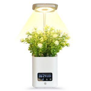 Système de culture hydroponique de jardin, jardin d'herbes d'intérieur avec lumière de croissance LED, jardinière intelligente pour la cuisine de la maison, minuterie automatique 240304