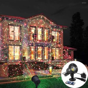 Lumières de jardin en mouvement plein ciel étoile projecteur laser paysage éclairage rouge vert fête de Noël LED scène lumière extérieure pelouse Lam