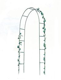 Garden Metal Pergola Party Wedding Arch Plant grimpant à décoration de ballon multifonctionnel Rack6774265