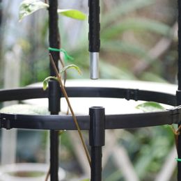 Jardin obélisque treillis pour les plantes d'escalade en revêtement en acier plante en acier cage de fleur