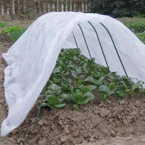 Jardin Poly Tunnel serre légumes fruits plantes soins couverture cadre en métal protecteur panneaux de toit feuille jardin serre maison 240108