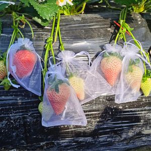 Garden Supplies 100pcs/Set Strawberry Grapes Fruit Grow Bags Netting Mesh Vegetable Plant Protection Bags For Pest Control Anti-Bird Garden Tools2023