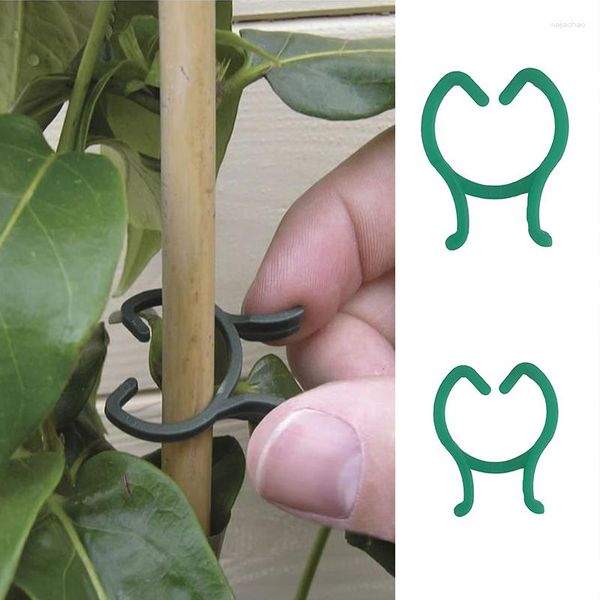 Fournitures de jardin 100 pièces pinces à légumes fleur jardinage bonsaï vigne fixe greffe plante Support serre Support réutilisable