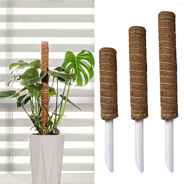 Fournitures de jardin 1PC plante escalade pôle coco mousse bâton palmier vignes Support Extension plantes d'intérieur Creeper