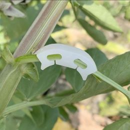 Fournitures de jardin 50 pièces cintreuse de plantes en plastique porte-tomate Clips de renforcement Branches flexion entraînement à faible Stress