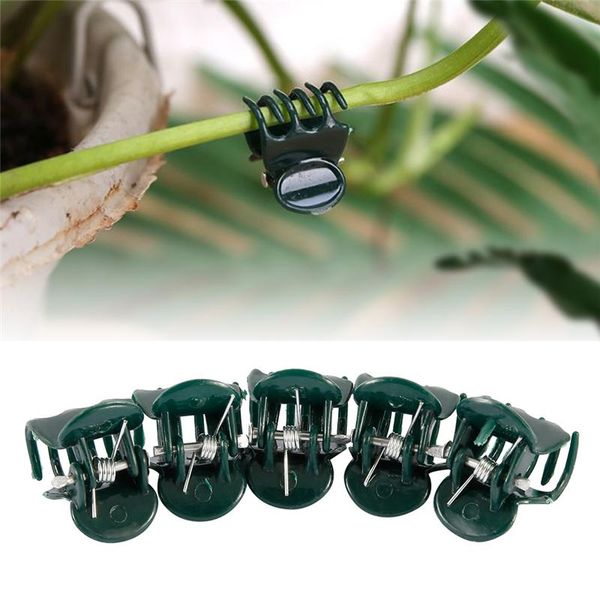 Fournitures de jardin Autres 100pcs Clips de support de plantes en plastique Clip de tige d'orchidée pour légumes de vigne Fleur attachée Bundle Outil de serrage de branche