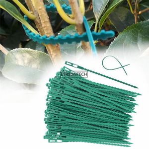 Tuinvoorraden andere 100set visbeen sporen groen landschap herbruikbare plastic plantenriem stropdassen tie band gereedschap